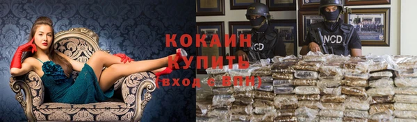 гашик Армянск
