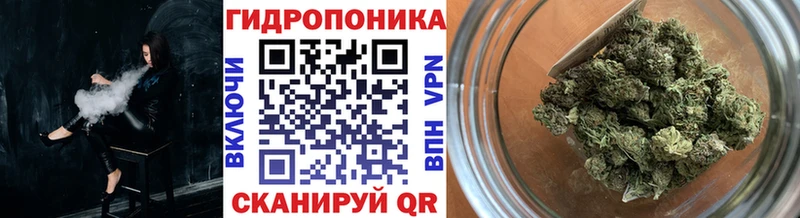 магазин  наркотиков  Себеж  мега tor  Шишки марихуана семена 